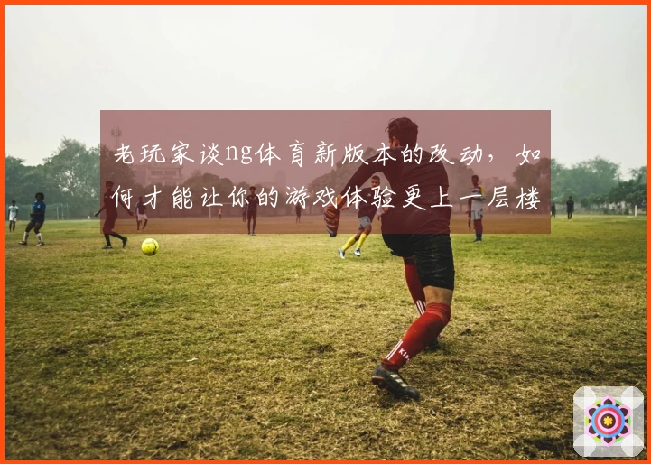 老玩家谈ng体育新版本的改动，如何才能让你的游戏体验更上一层楼？