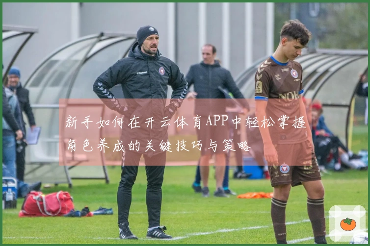 新手如何在开云体育APP中轻松掌握角色养成的关键技巧与策略